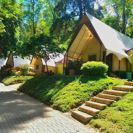 Lawu Forest Camp Sarangan Exterior foto