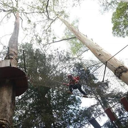 Lawu Forest Camp Sarangan Exterior foto