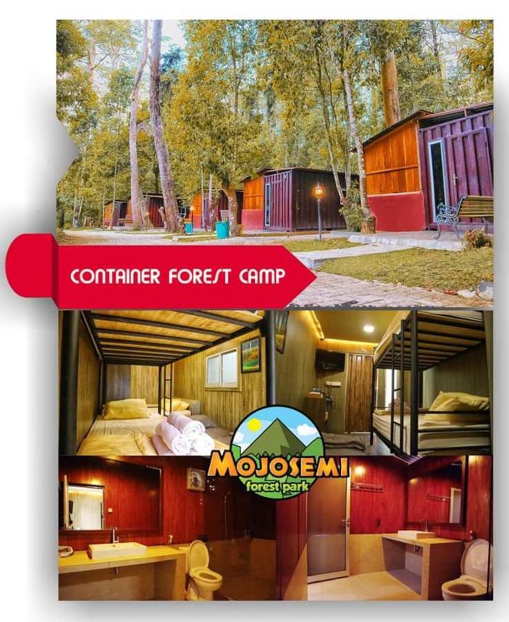 Lawu Forest Camp Sarangan Exterior foto